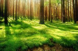 爱游戏大厅-战术碾压与未来启示，美加墨世界杯焦点战中英格兰如何全面压制冰岛