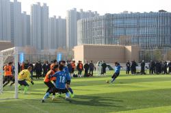 爱游戏在线-足球比赛中，技术与智慧同样重要