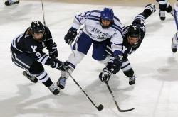 爱游戏APP-逆境中的王者，胡金秋高光闪耀，广东队惊天翻盘灰熊