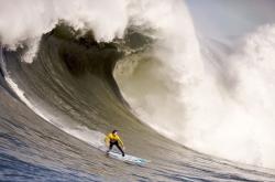 爱游戏官方入口-绝境中的双重火焰，威廉姆斯史诗逆转与汉密尔顿点燃的不灭斗志