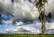 爱游戏官方入口-关于瑞典队碾压德国队，波尔状态火热的信息