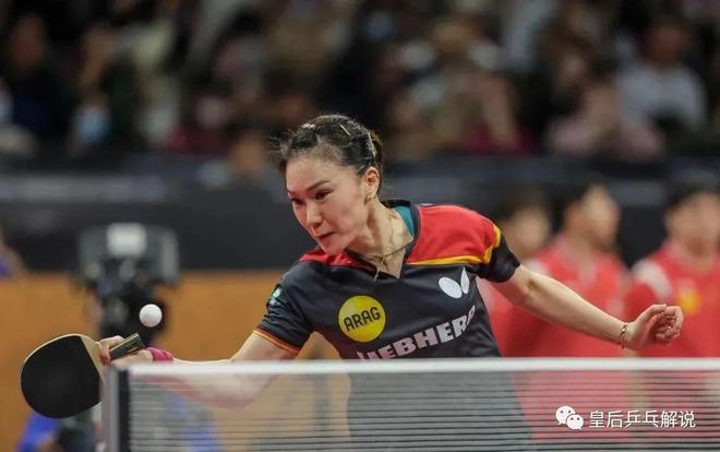 瑞典队轻取法国队，林高远惊艳四座的简单介绍