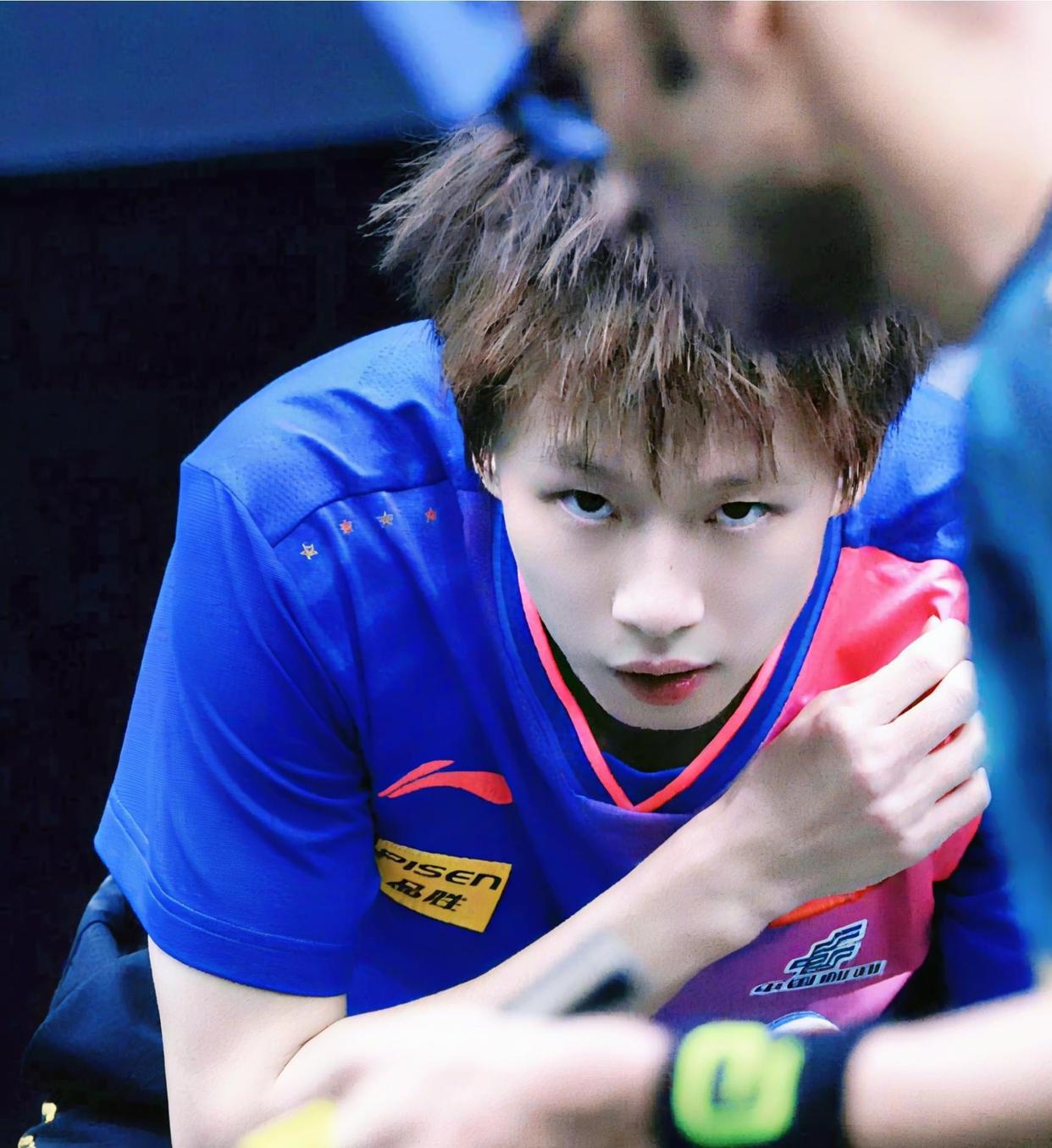 瑞典队轻取法国队，林高远惊艳四座的简单介绍