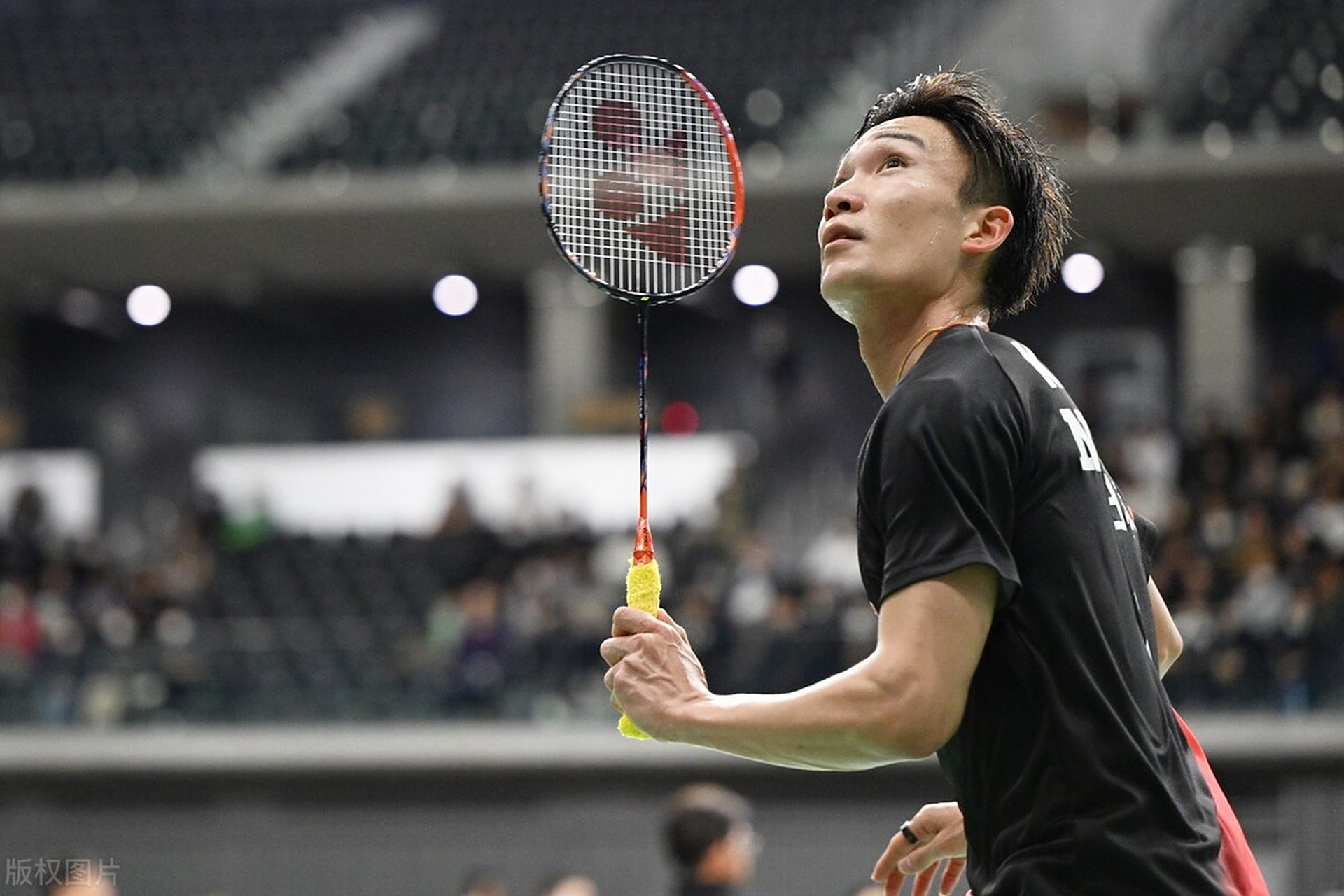 德国队碾压印尼队，桃田贤斗状态火热的简单介绍