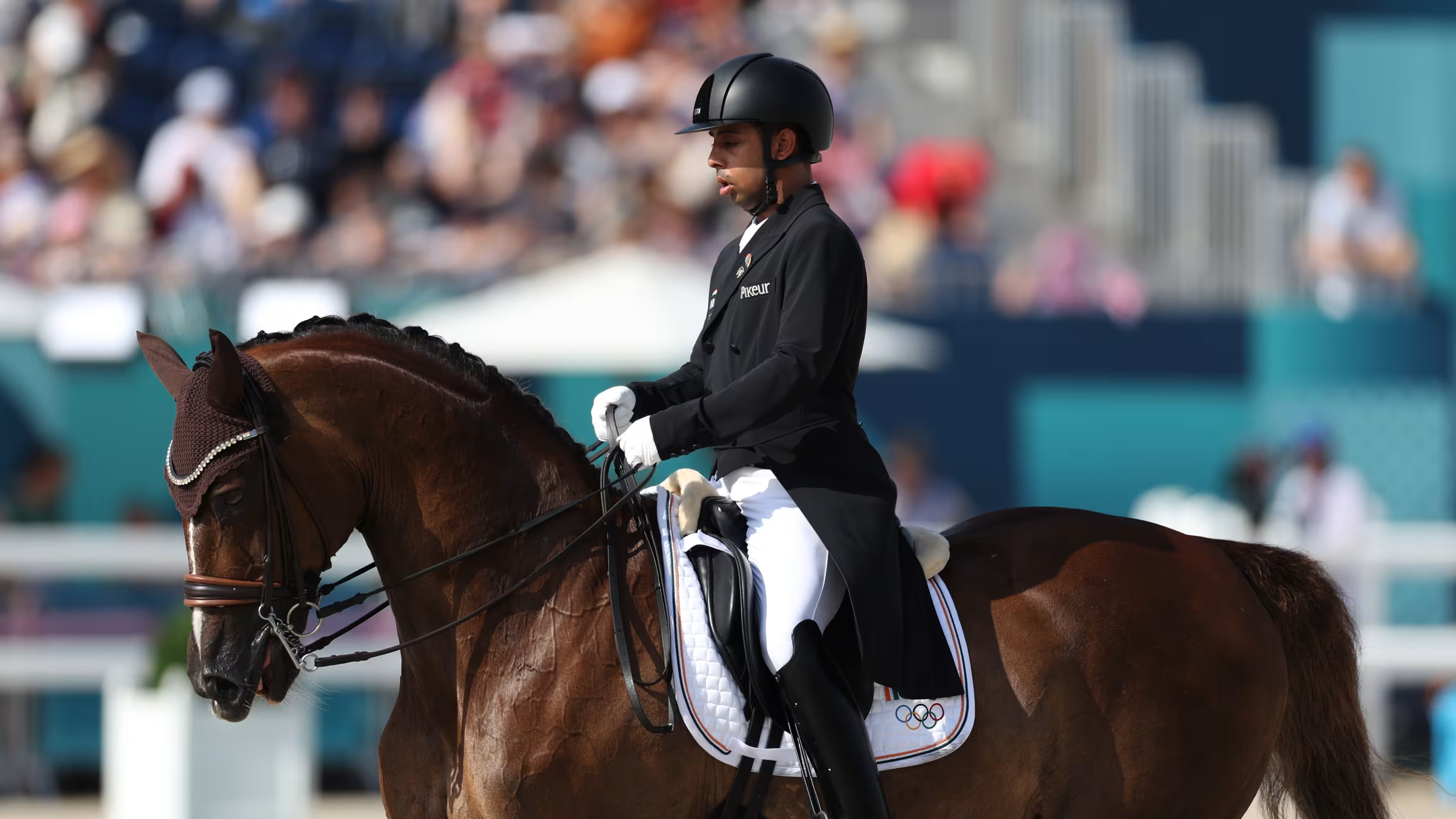 摩洛哥代表团在马术比赛中获得佳绩