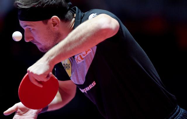 比利时乒乓球队强势奥地利乒乓球队，波尔爆发神勇的简单介绍